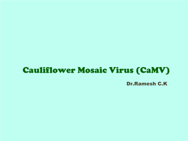 Cauliflower Mosaic Virus (Camv)