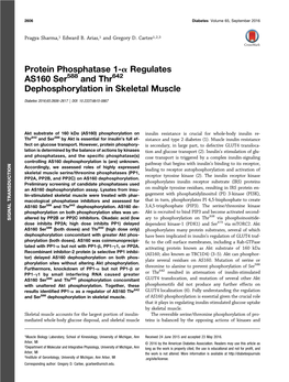 Protein Phosphatase 1-Α Regulates AS160 Ser588 and Thr642