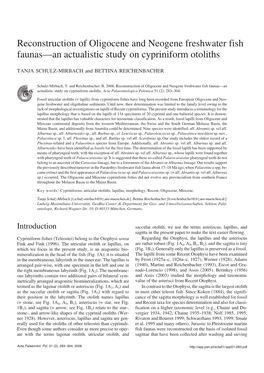 Reconstruction of Oligocene and Neogene Freshwater Fish Faunas—An Actualistic Study on Cypriniform Otoliths