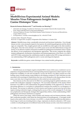 Morbillivirus Experimental Animal Models: Measles Virus Pathogenesis Insights from Canine Distemper Virus