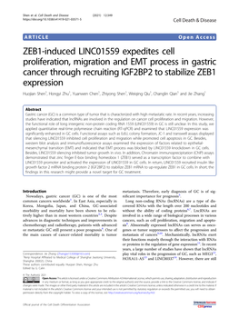 ZEB1-Induced LINC01559 Expedites Cell Proliferation, Migration