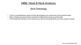 MBB: Head & Neck Anatomy
