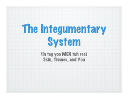 The Integumentary System (In Teg Yoo MEN Tuh Ree) Skin, Tissues, and You � the Integumentary System Is the Body’S Outer Covering