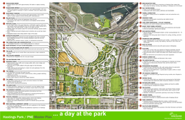 Concept Plan for Hastings Park