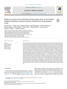 Pelagic Key Species and Mechanisms Driving Energy Flows in the Northern