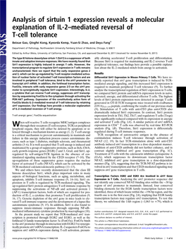 Analysis of Sirtuin 1 Expression Reveals a Molecular Explanation of IL-2–Mediated Reversal of T-Cell Tolerance