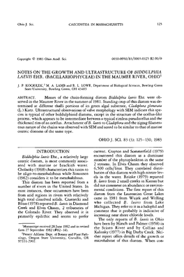 Notes on the Growth and Ultrastructure of Biddulphia Laevis Ehr. (Bacillariophyceae) in the Maumee River, Ohio1