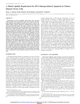 A Mitotic Spindle Requirement for DNA Damage-Induced Apoptosis in Chinese Hamster Ovary Cells