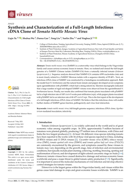 Synthesis and Characterization of a Full-Length Infectious Cdna Clone of Tomato Mottle Mosaic Virus