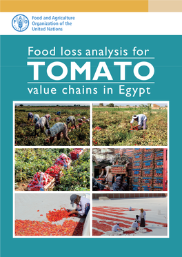 Food Loss Analysis for TOMATO Value Chains in Egypt