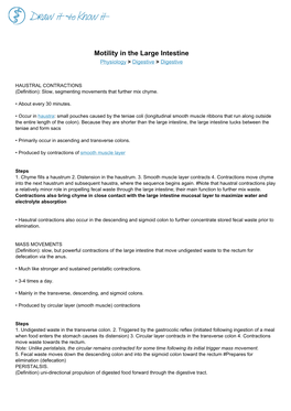 Motility in the Large Intestine Physiology > Digestive > Digestive