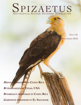 Spizaetus NRN Newsletter Issue 26 © December 2018 English Edition, ISSN 2157-8958