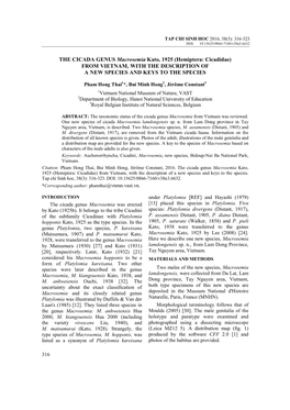 THE CICADA GENUS Macrosemia Kato, 1925 (Hemiptera: Cicadidae) from VIETNAM, with the DESCRIPTION of a NEW SPECIES and KEYS to the SPECIES