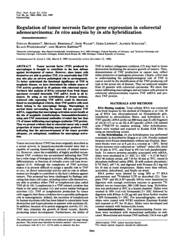 In Vivo Analysis by in Situ Hybridization