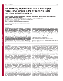 Induced Early Expression of Mrf4 but Not Myog Rescues Myogenesis in the Myod/Myf5 Double- Morphant Zebrafish Embryo