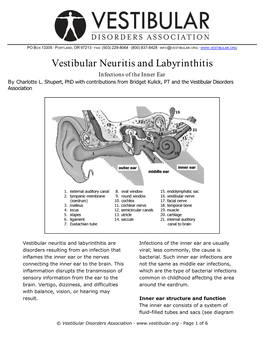 Vestibular Neuritis and Labyrinthitis: Infections of the Inner