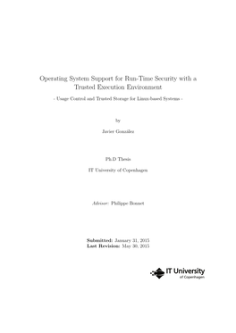 Operating System Support for Run-Time Security with a Trusted Execution Environment