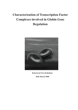 Characterization of Transcription Factor Complexes Involved in Globin Gene Regulation