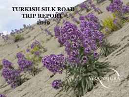 Turkish Silk Road Trip Report 2019