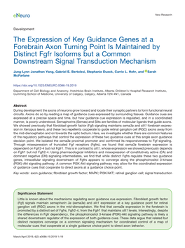 The Expression of Key Guidance Genes at a Forebrain Axon Turning Point Is Maintained by Distinct Fgfr Isoforms but a Common Downstream Signal Transduction Mechanism