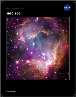 NGC 602: Taken Under the “Wing” of the Small Magellanic Cloud