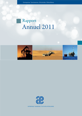 Rapport Annuel 2011