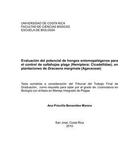 Evaluación Del Potencial De Hongos Entomopatógenos Para El Control De Saltahojas Plaga (Hemiptera: Cicadellidae), En Plantaciones De Dracaena Marginata (Agavaceae)