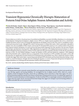 Transient Hypoxemia Chronically Disrupts Maturation of Preterm Fetal Ovine Subplate Neuron Arborization and Activity