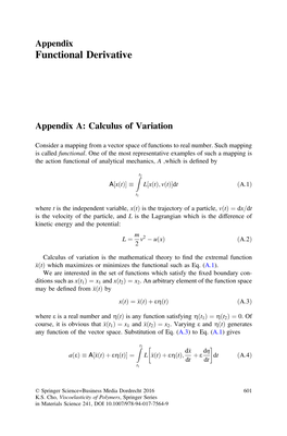 Functional Derivative