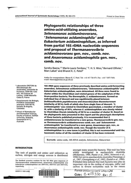 Thermanaerovibrio Acidaminovorans Gen