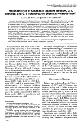 Morphometrics of Globodera Tabacum Tabacum, G. T. Virginiae, and G. T