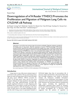 Downregulation of M6a Reader YTHDC2 Promotes the Proliferation