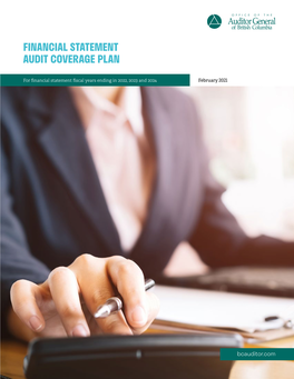 Financial Statement Audit Coverage Plan