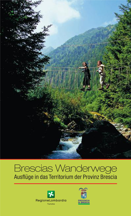 Brescias Wanderwege Ausflüge in Das Territorium Der Provinz Brescia - Brescia, Provincia Da Scoprire Bibliographie