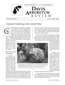 Container Gardening in the Central Valley