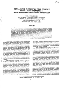 Comparative Anatomy of Four Primitive Muricacean Gastropods: Implications for Trophonine Phylogeny