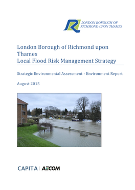 Local Flood Risk Management Strategy