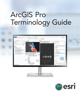 Arcgis® Pro Terminology Guide