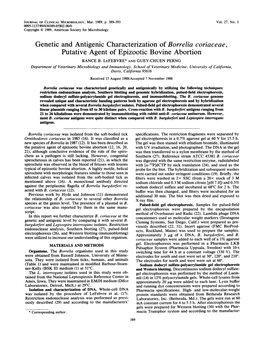 Genetic and Antigenic Characterization of Borrelia Coriaceae, Putative Agent of Epizootic Bovine Abortion RANCE B