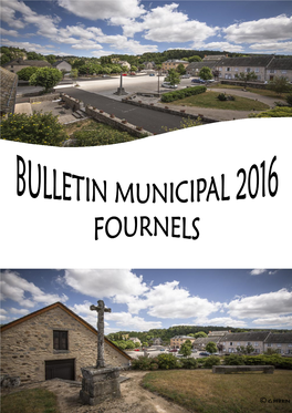 Bulletin Municipal