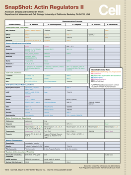 Snapshot: Actin Regulators II Anosha D