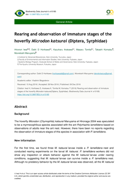 Rearing and Observation of Immature Stages of the Hoverfly Microdon Katsurai (Diptera, Syrphidae)