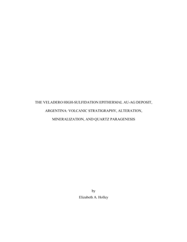 The Veladero High-Sulfidation Epithermal Au-Ag Deposit