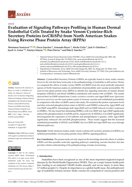 Evaluation of Signaling Pathways Profiling in Human Dermal