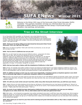 SUFA Enews Winter 2021