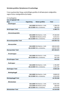 Fylgiskjal4 Sérstakar Greiðslur