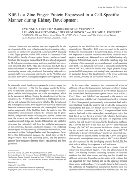 Klf6 Is a Zinc Finger Protein Expressed in a Cell-Specific Manner During Kidney Development