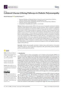 Collateral Glucose-Utlizing Pathwaya in Diabetic Polyneuropathy