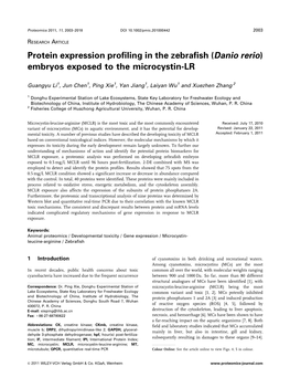 Protein Expression Profiling in the Zebrafish (Danio Rerio) Embryos