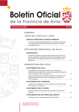 Junta De Castilla Y León Diputación Provincial De Ávila Administración Local Sumario